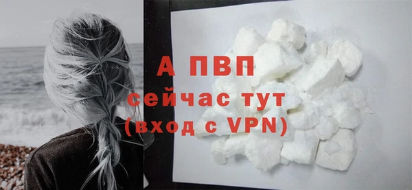 гидра Каменногорск