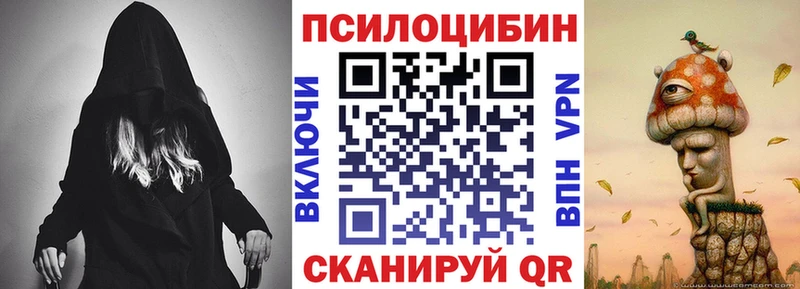 Купить закладки Нерчинск Галлюциногенные грибы прущие грибы